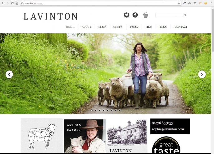 Lavinton Lamb
