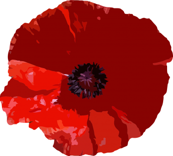 poppy