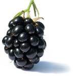 blackberry