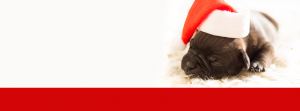 facebook header8