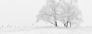 facebook header 9