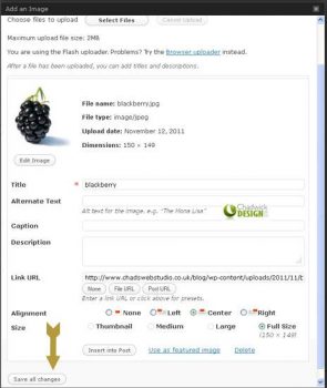 Adding an image to WordPress page